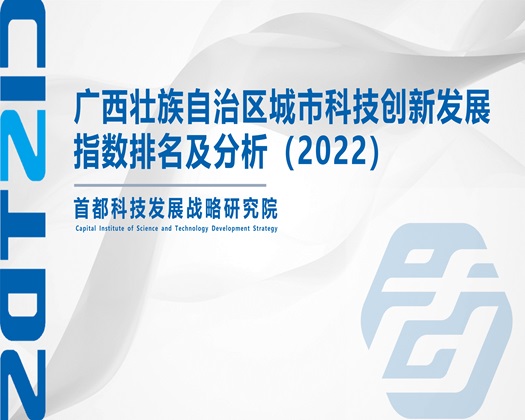 小香屄中国熟妇【成果发布】广西壮族自治区城市科技创新发展指数排名及分析（2022）